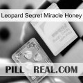 Leopard Secret Miracle Honey 32